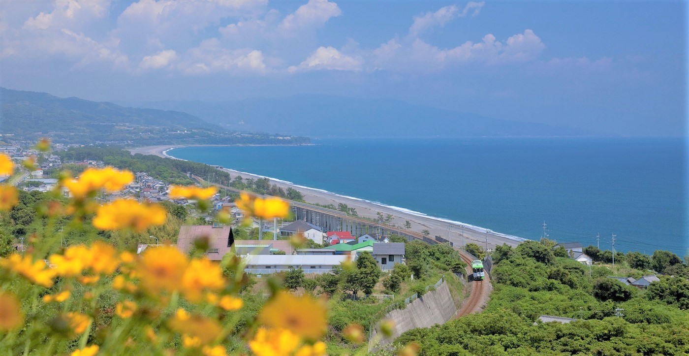 オープンデッキ車両と海|ひがしこうち旅